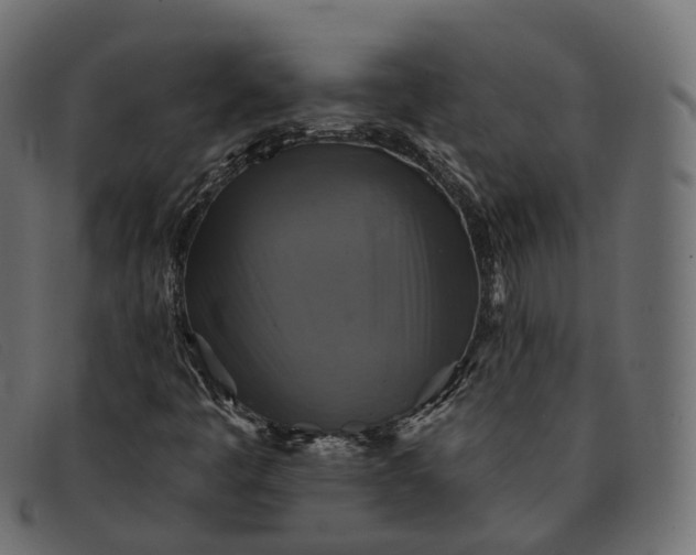 X0000091891445200709191207
