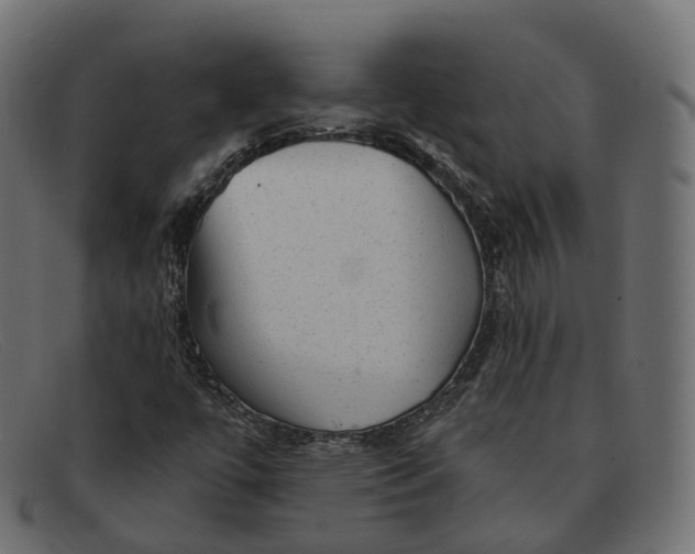 X0000091891447200709191207