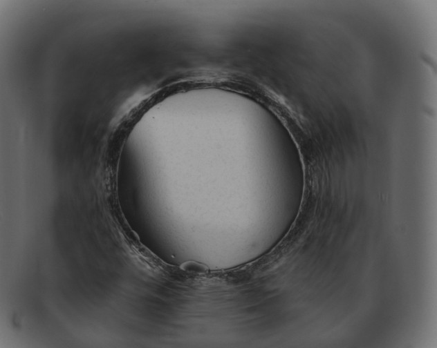 X0000091891448200709191207