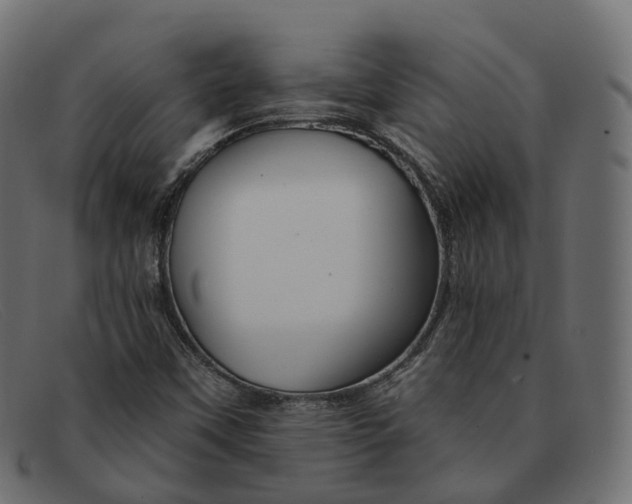 X0000091891451200709191207
