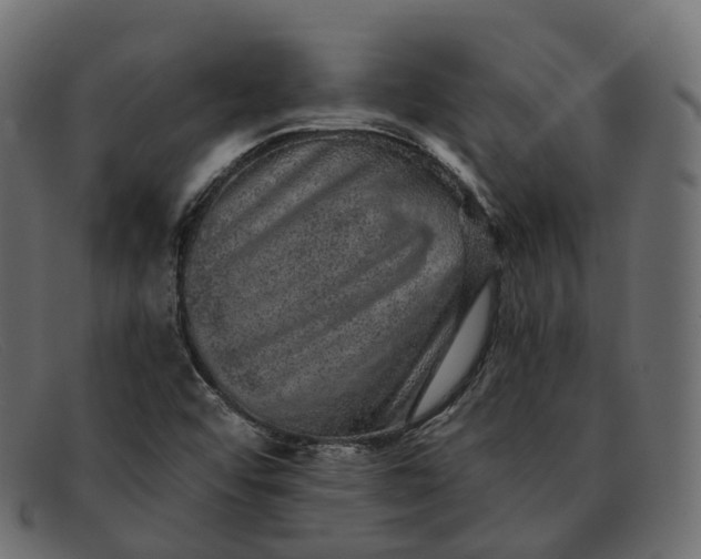 X0000091891456200709191207
