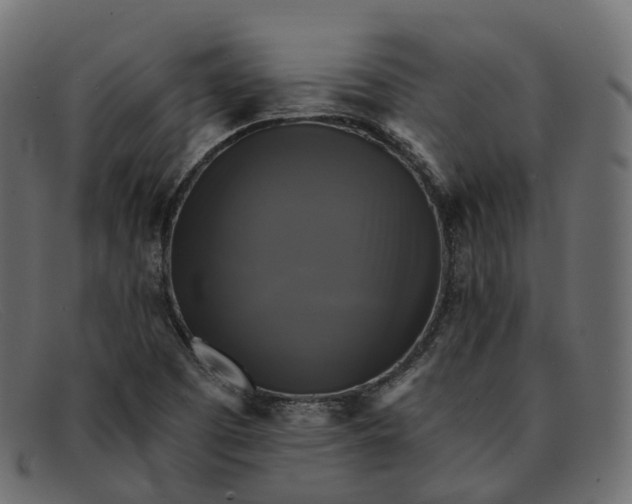 X0000091891457200709191207