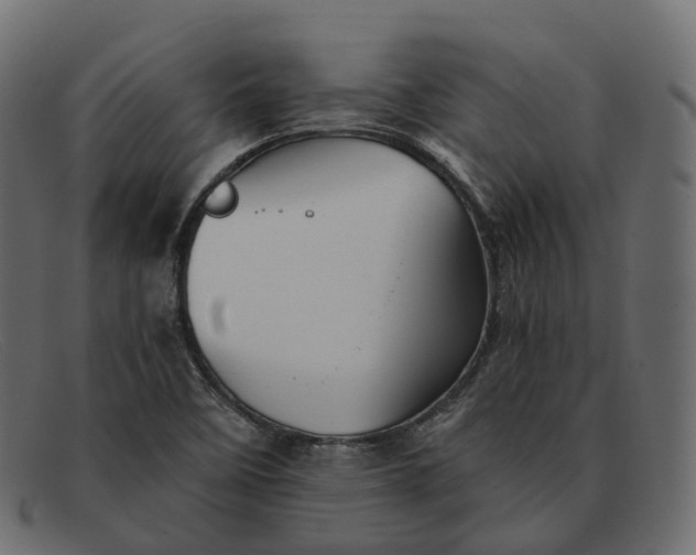 X0000091891458200709191207