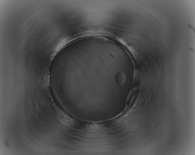 X0000091891459200709191207