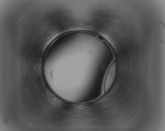 X0000091891460200709191207