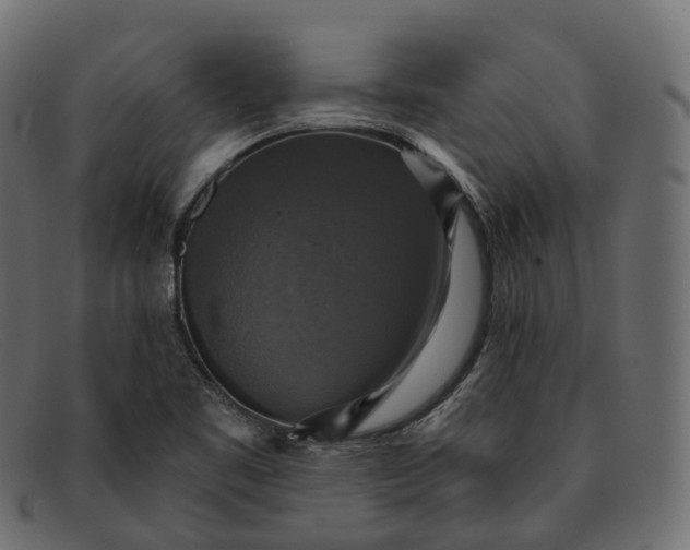 X0000091891461200709191207