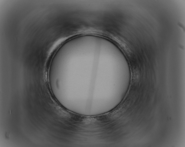 X0000091891462200709191207