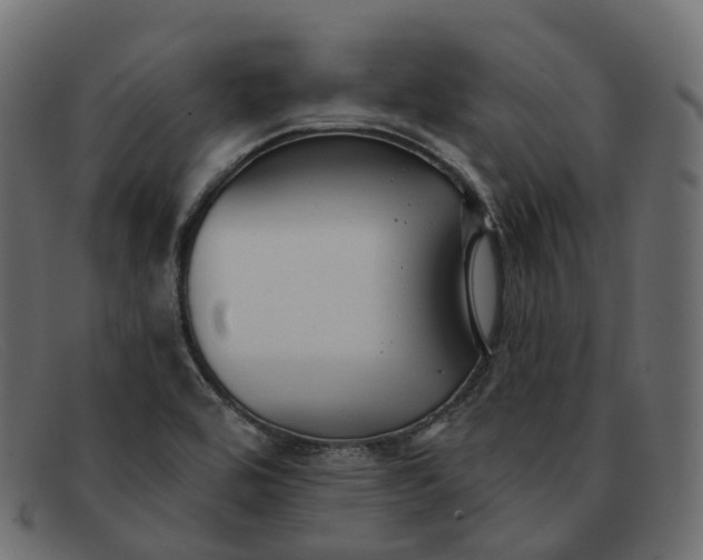 X0000091891464200709191207