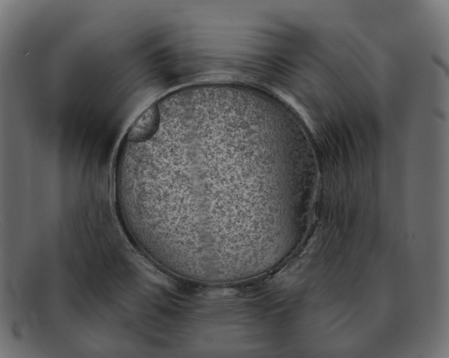 X0000091891467200709191207