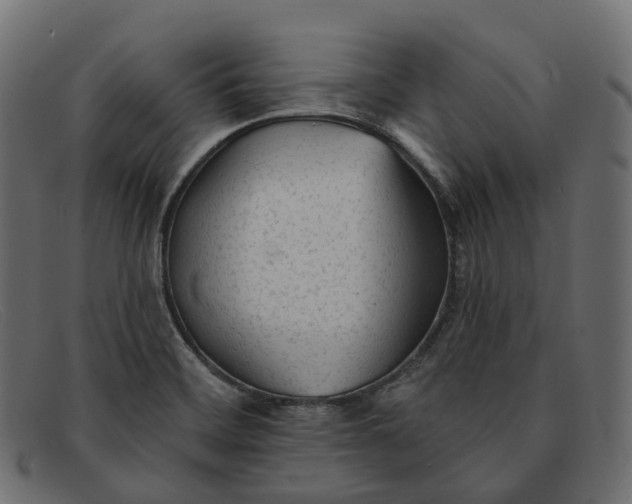X0000091891468200709191207