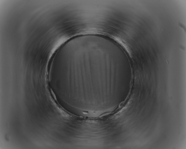 X0000091891469200709191207