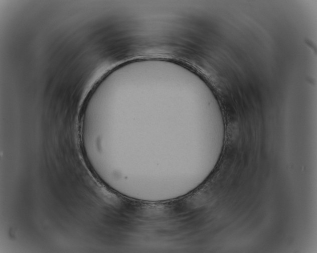 X0000091891470200709191207