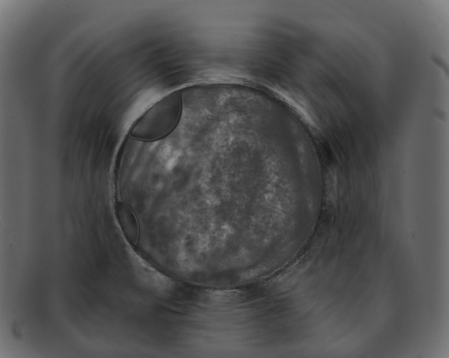 X0000091891471200709191207