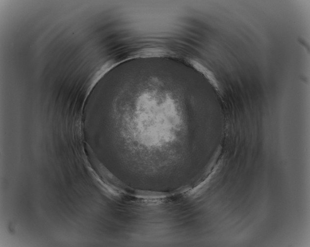 X0000091891473200709191207