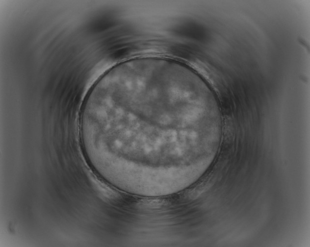 X0000091891474200709191207
