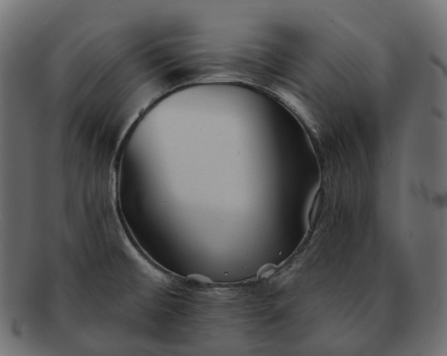 X0000091891476200709191207