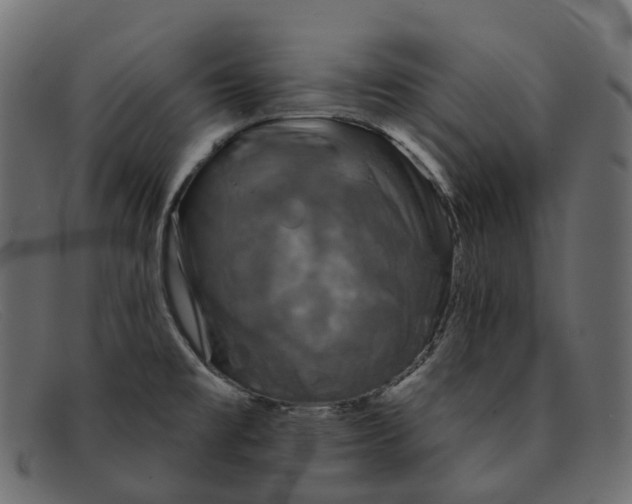 X0000091891477200709191207