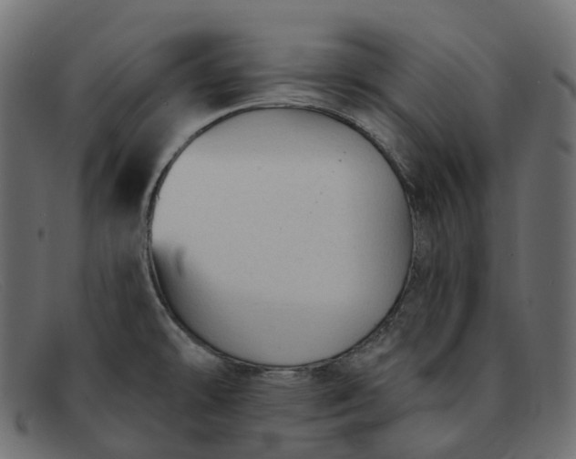 X0000091891478200709191207