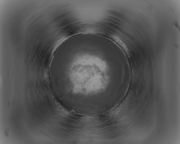 X0000091891481200709191207