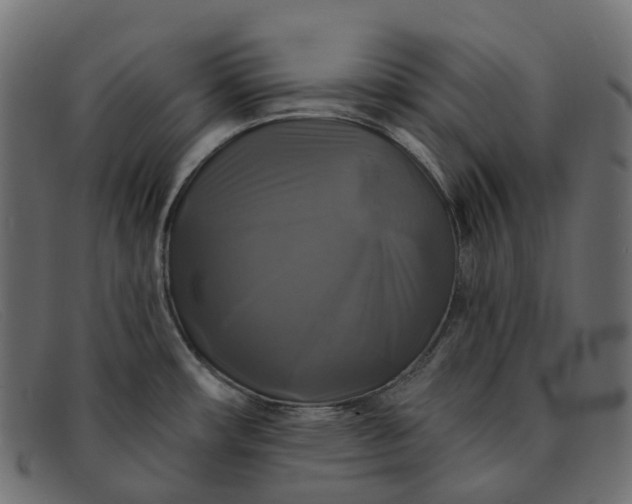X0000091891482200709191207