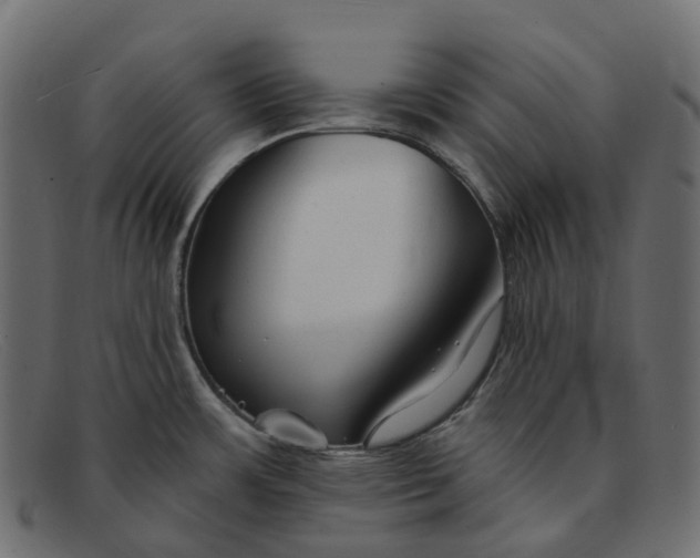 X0000091891483200709191207
