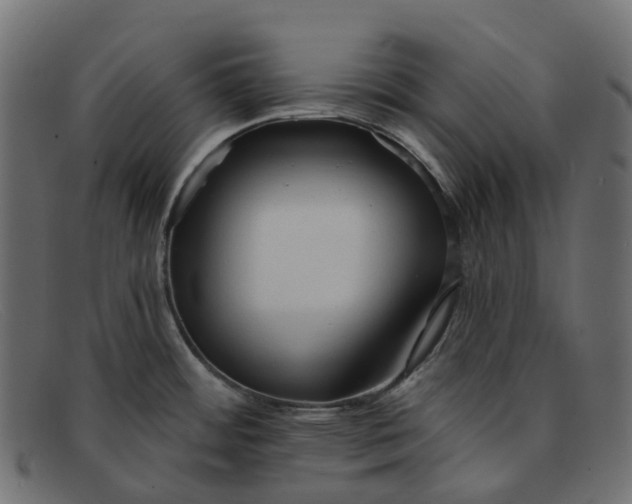 X0000091891484200709191207