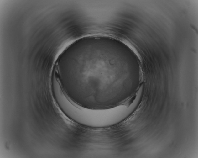 X0000091891485200709191207