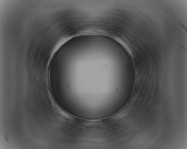 X0000091891486200709191207