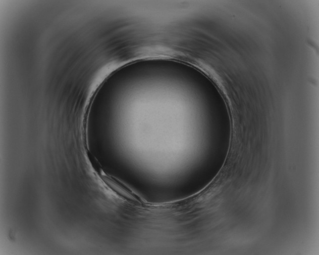 X0000091891488200709191207