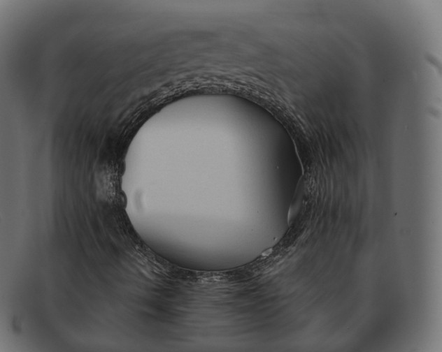 X0000091891490200709191206