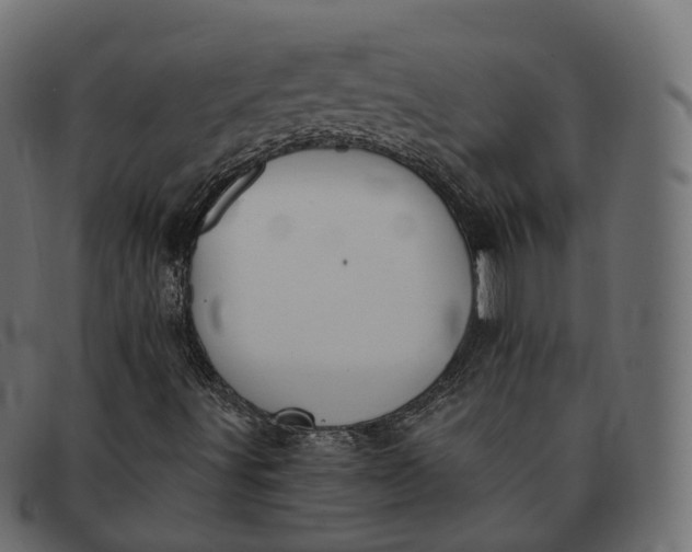 X0000091891491200709191206