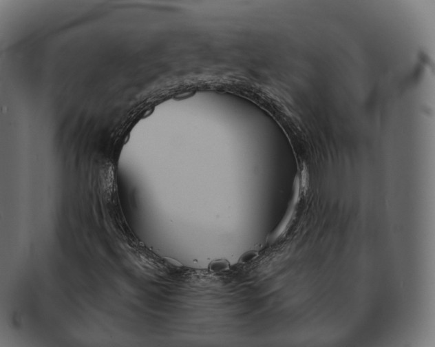 X0000091891492200709191206