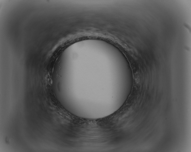 X0000091891495200709191206