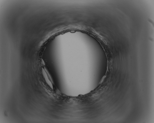 X0000091891496200709191206
