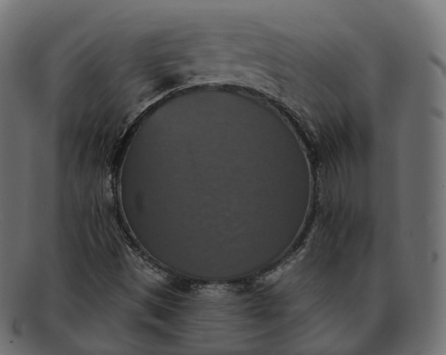 X0000091891497200709191206