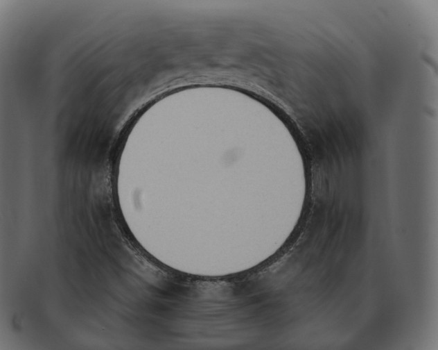 X0000091891498200709191206