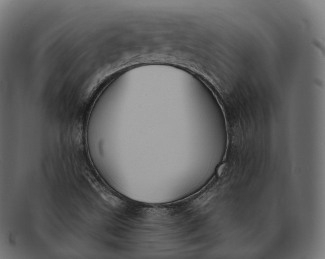 X0000091891499200709191206