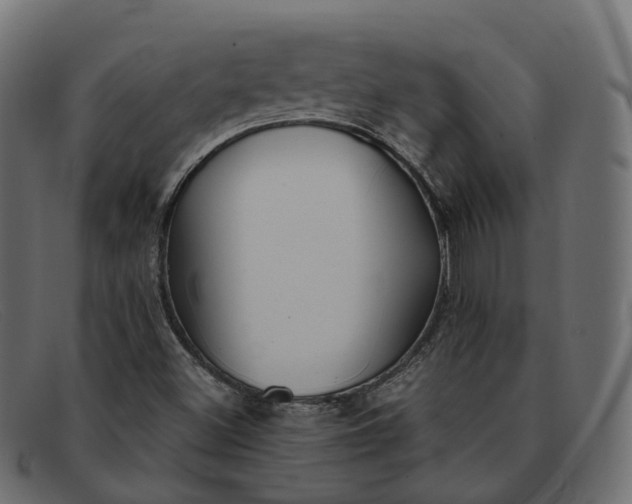 X0000091891500200709191206