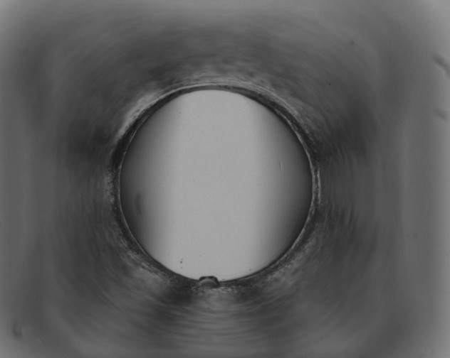 X0000091891501200709191206