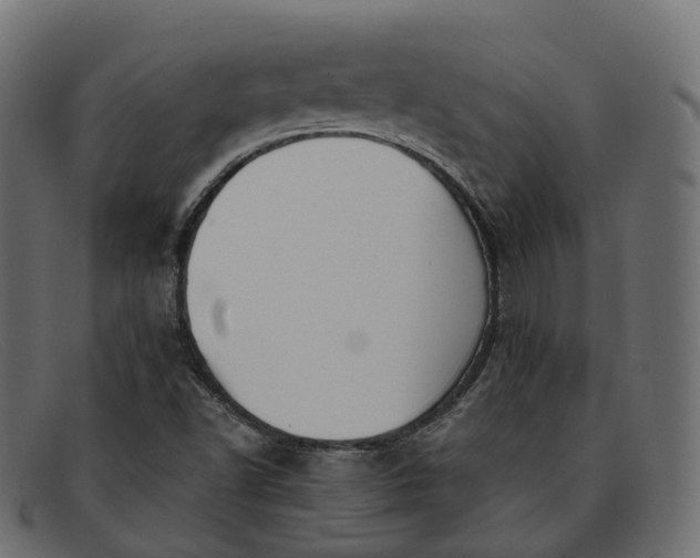 X0000091891502200709191206