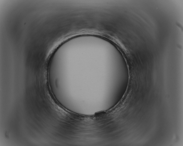 X0000091891504200709191206