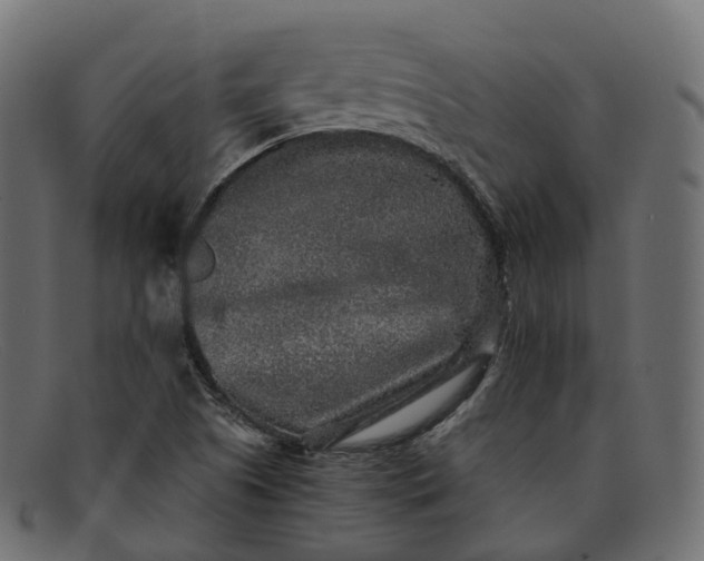 X0000091891505200709191206