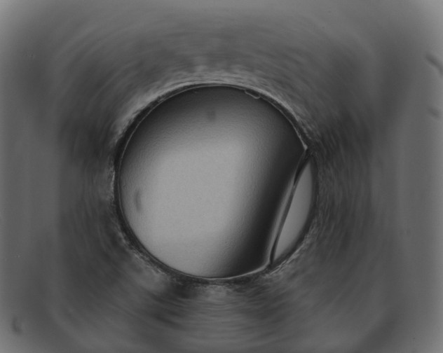 X0000091891507200709191206