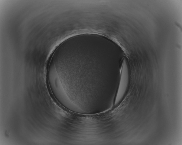 X0000091891508200709191206