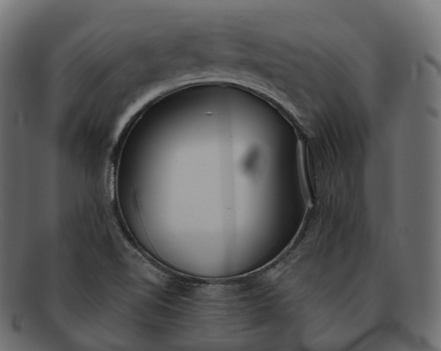 X0000091891510200709191206