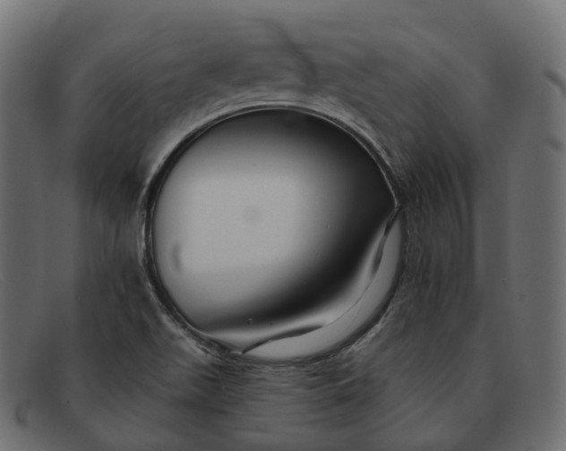 X0000091891511200709191206