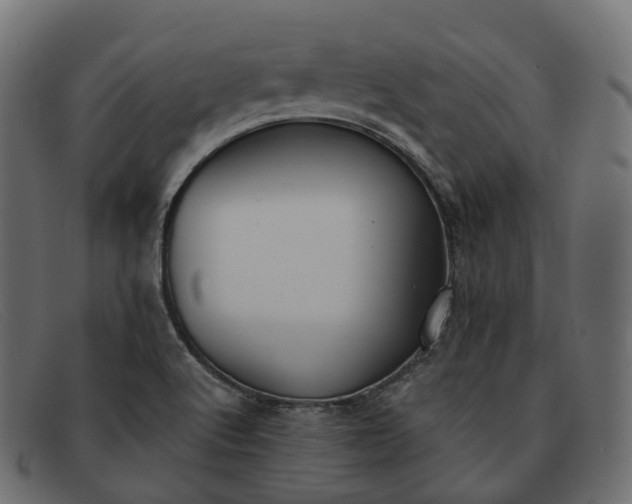 X0000091891512200709191206