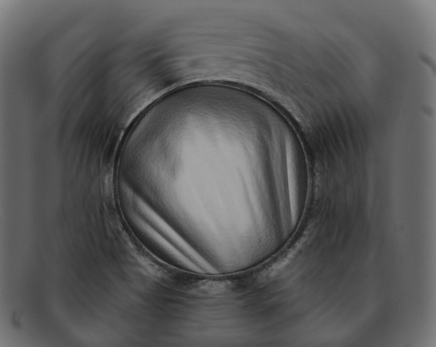 X0000091891513200709191206