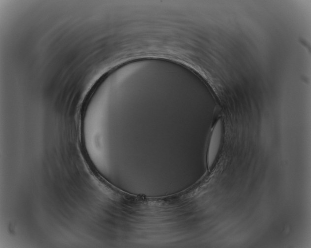 X0000091891515200709191206