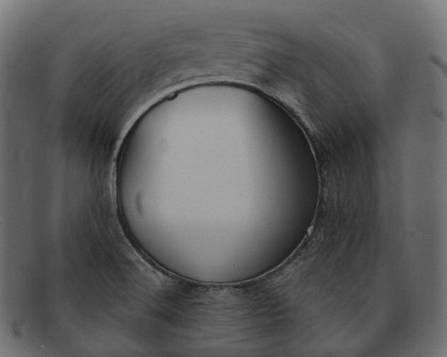 X0000091891516200709191206